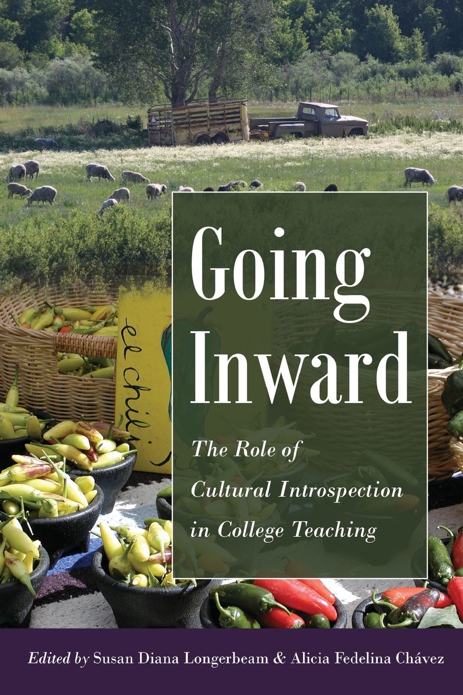 Going Inward: The Role of Cultural Introspection in College Teaching