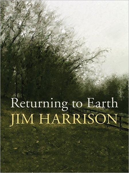 Returning to Earth