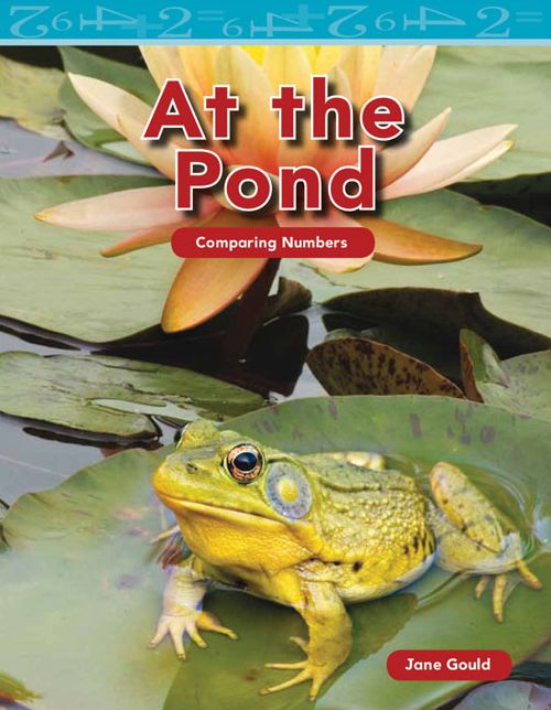 At the Pond