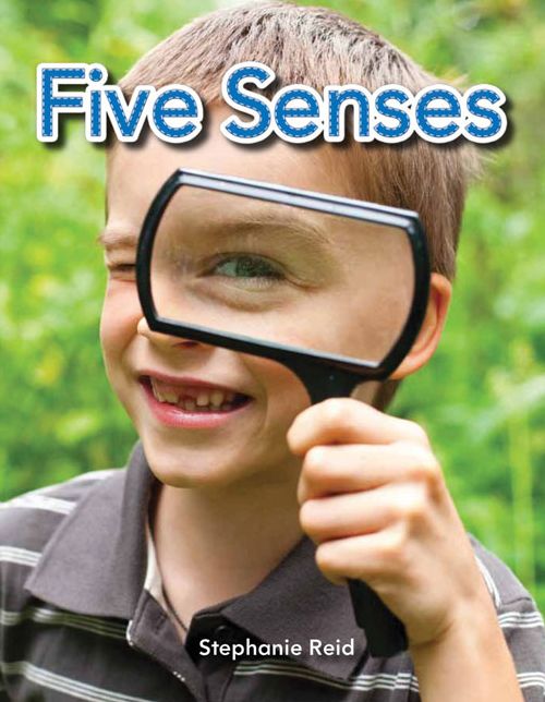 Five Senses (Five Senses)