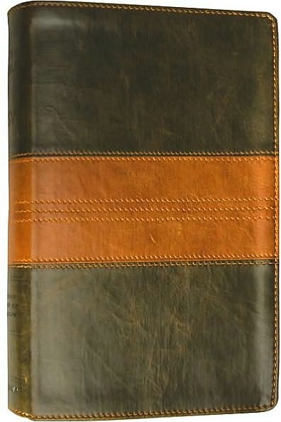 ESV Study Bible (Trutone, Forest/Tan, Trail Design)