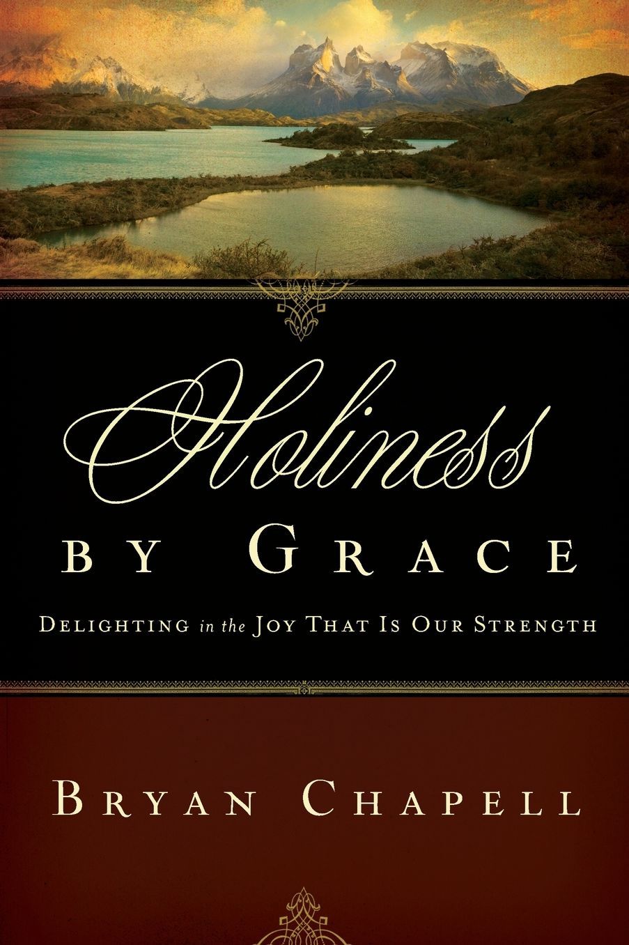 Holiness by Grace: Delighting in the Joy That Is Our Strength