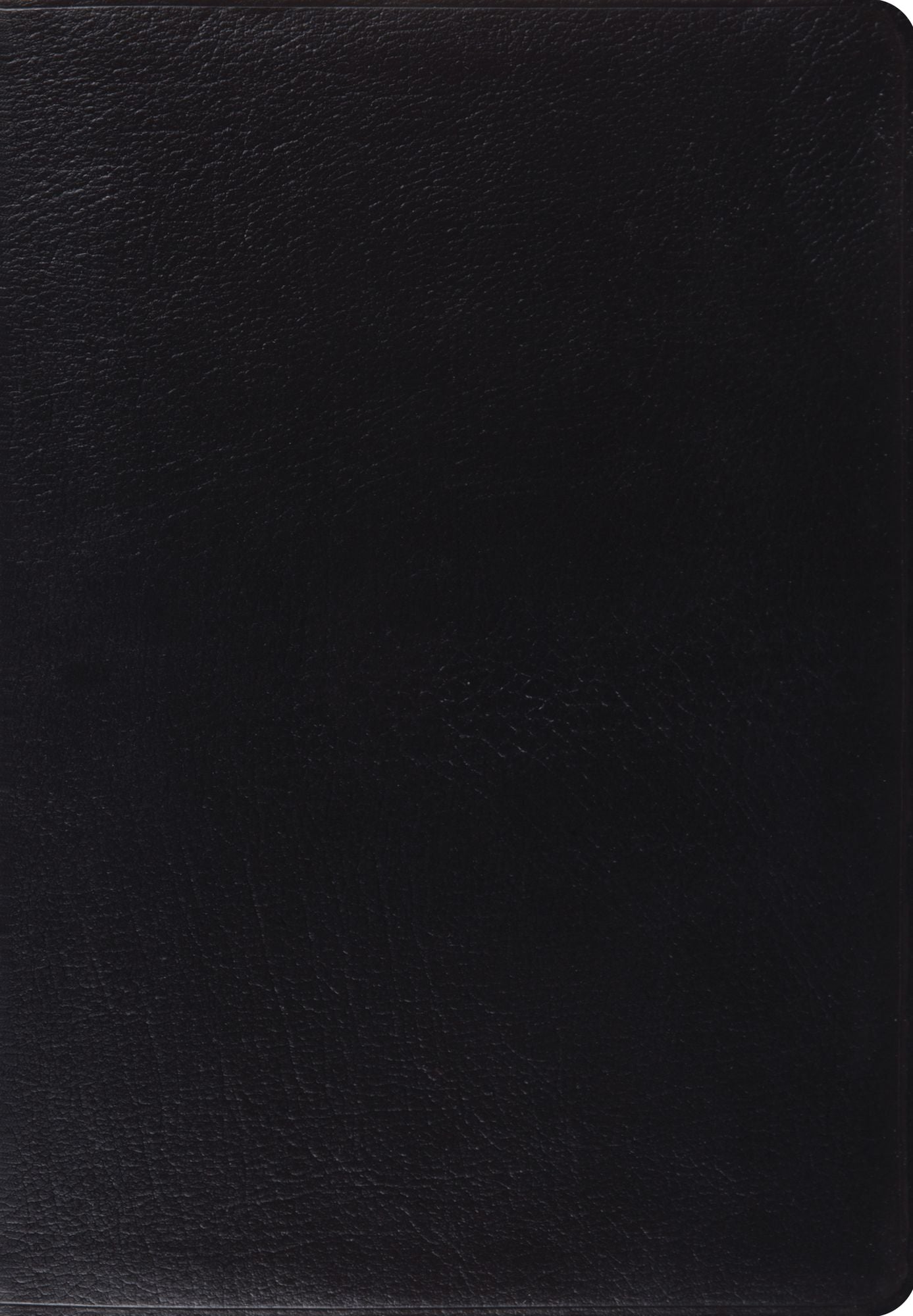 ESV Giant Print Black