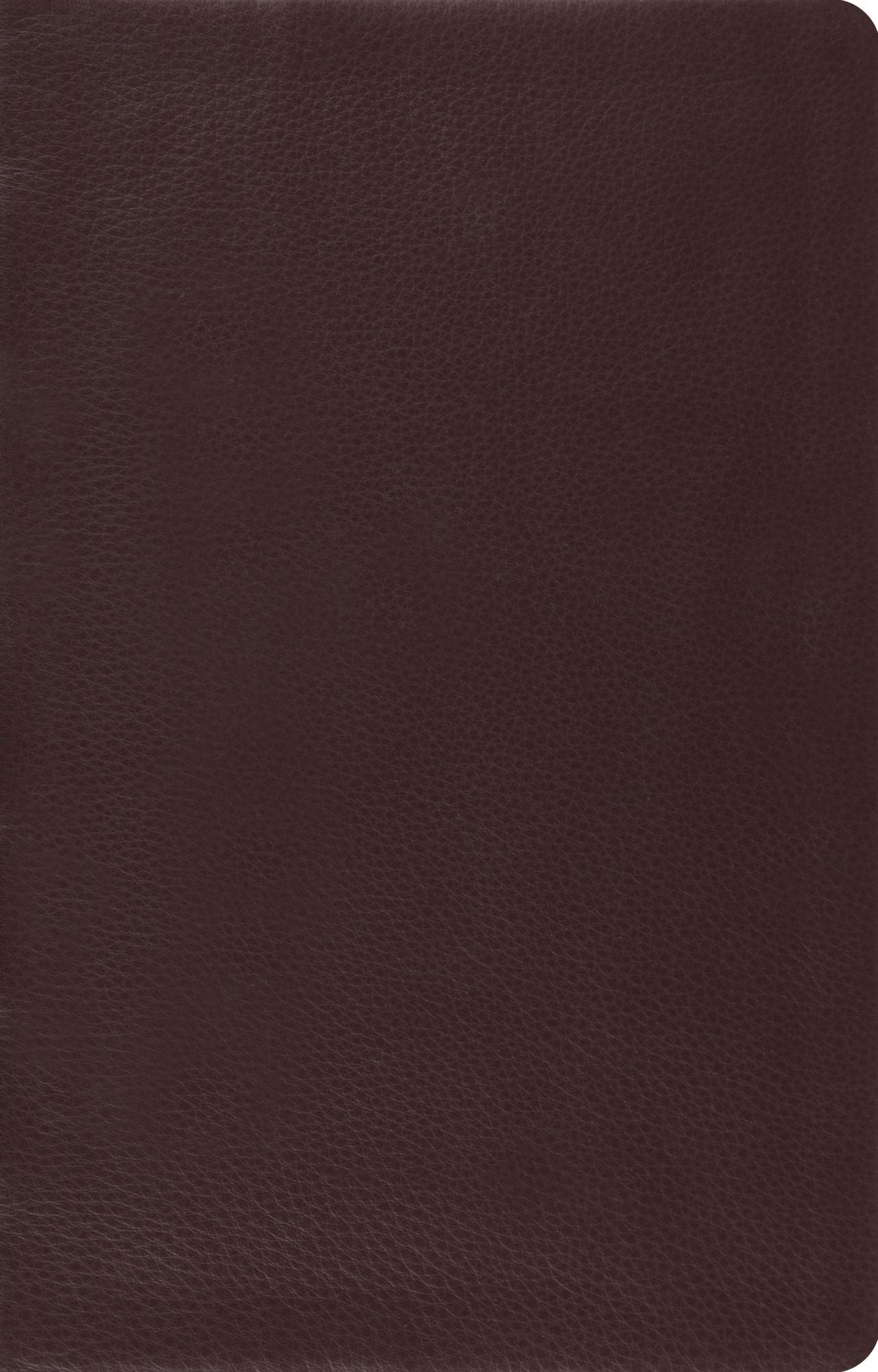 ESV Large Print Thinline Reference Bible (Brown)