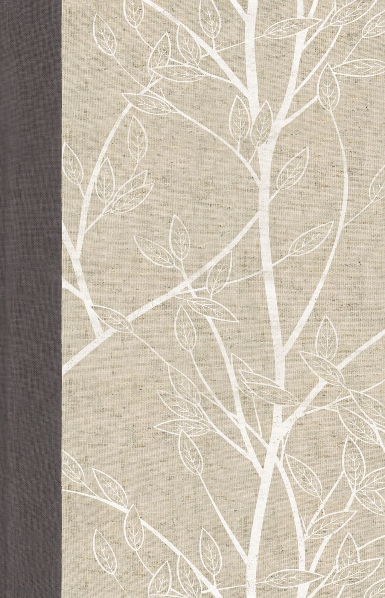 ESV Women's Devotional Bible (Cloth over Board)