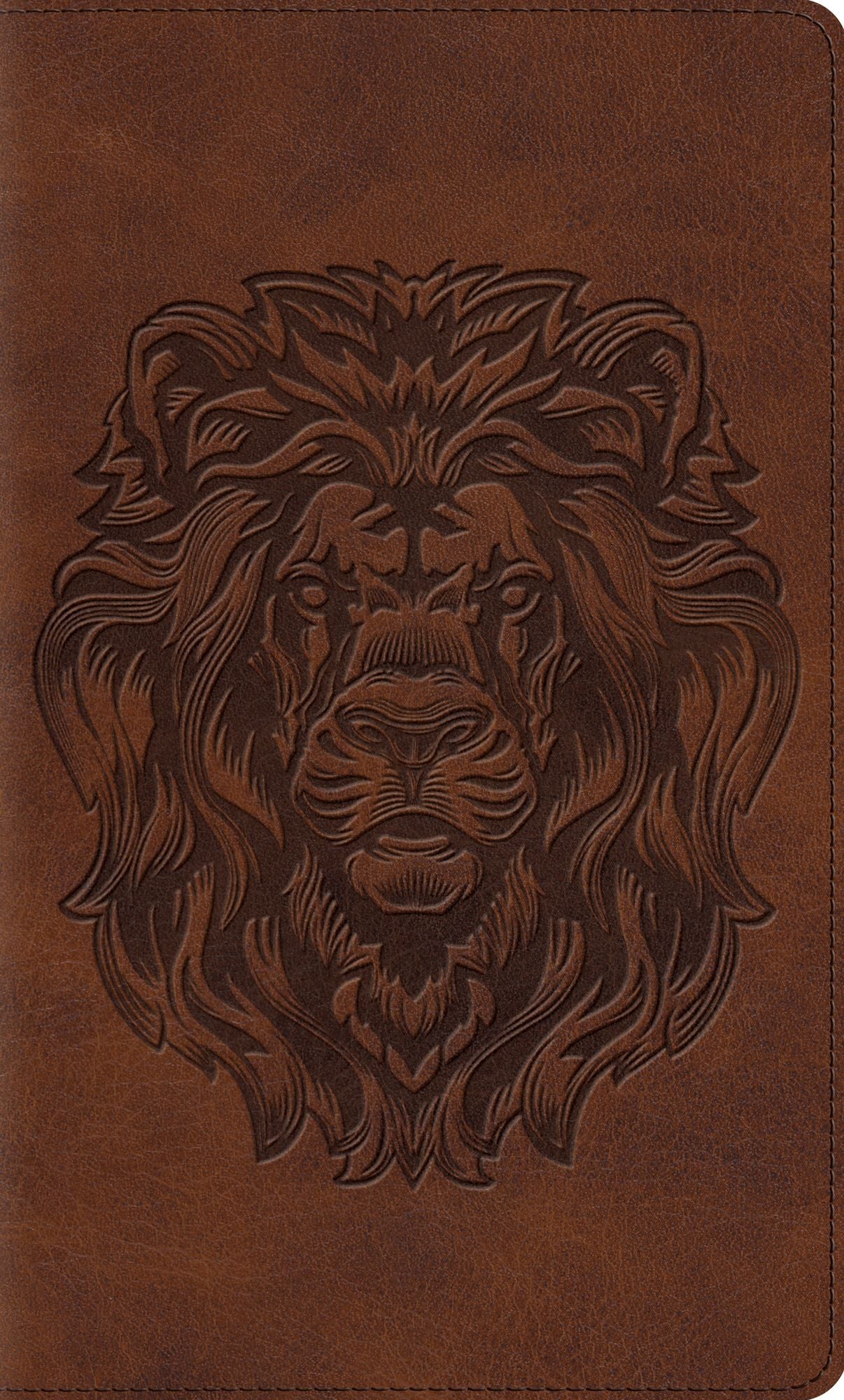 ESV Kid's Thinline Bible (TruTone, Royal Lion)
