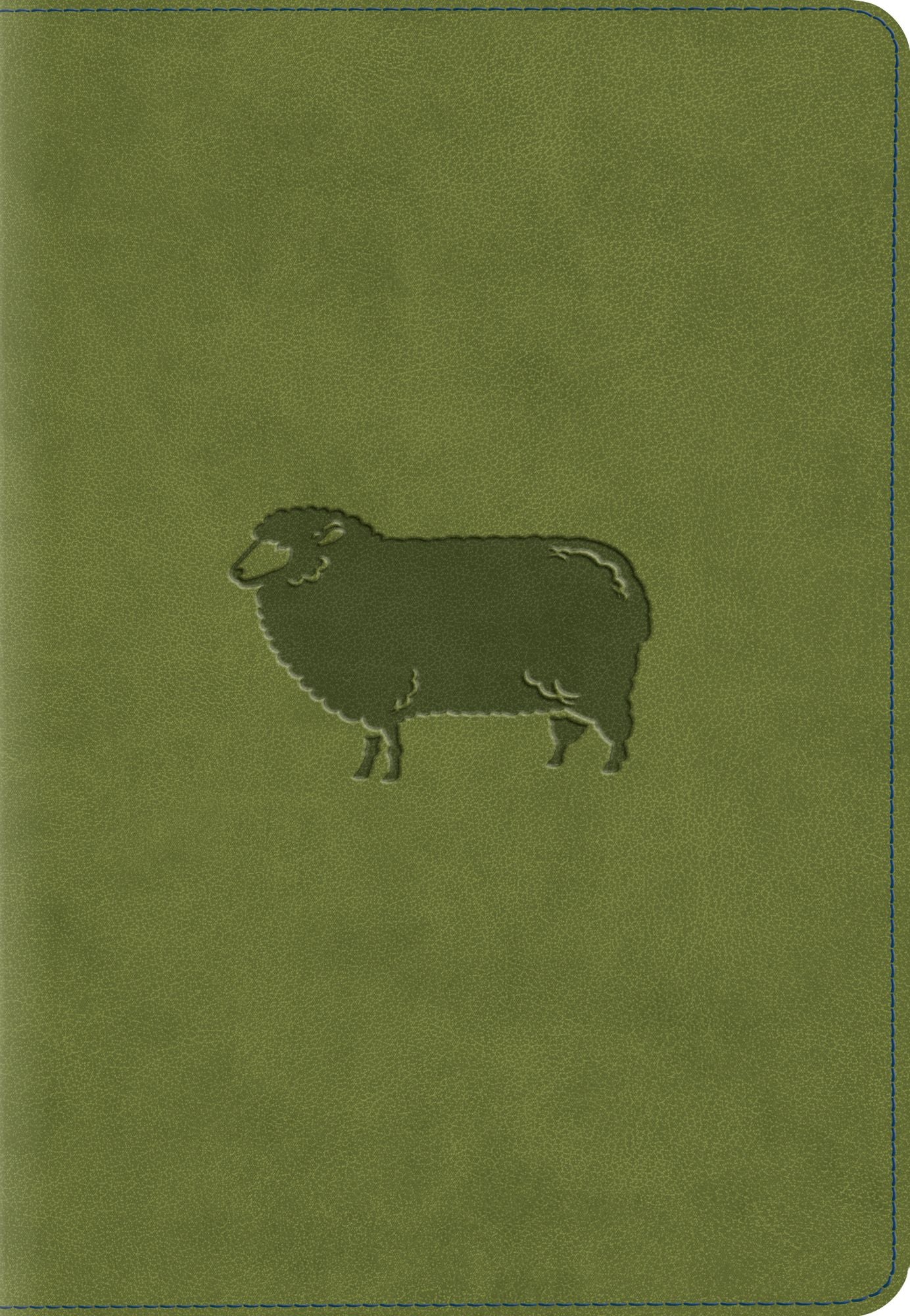 ESV Kid's Compact Bible (TruTone, Green Pastures)