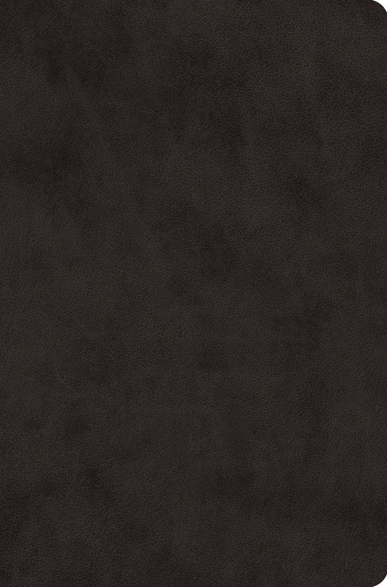 ESV Value Compact Bible (TruTone, Black)