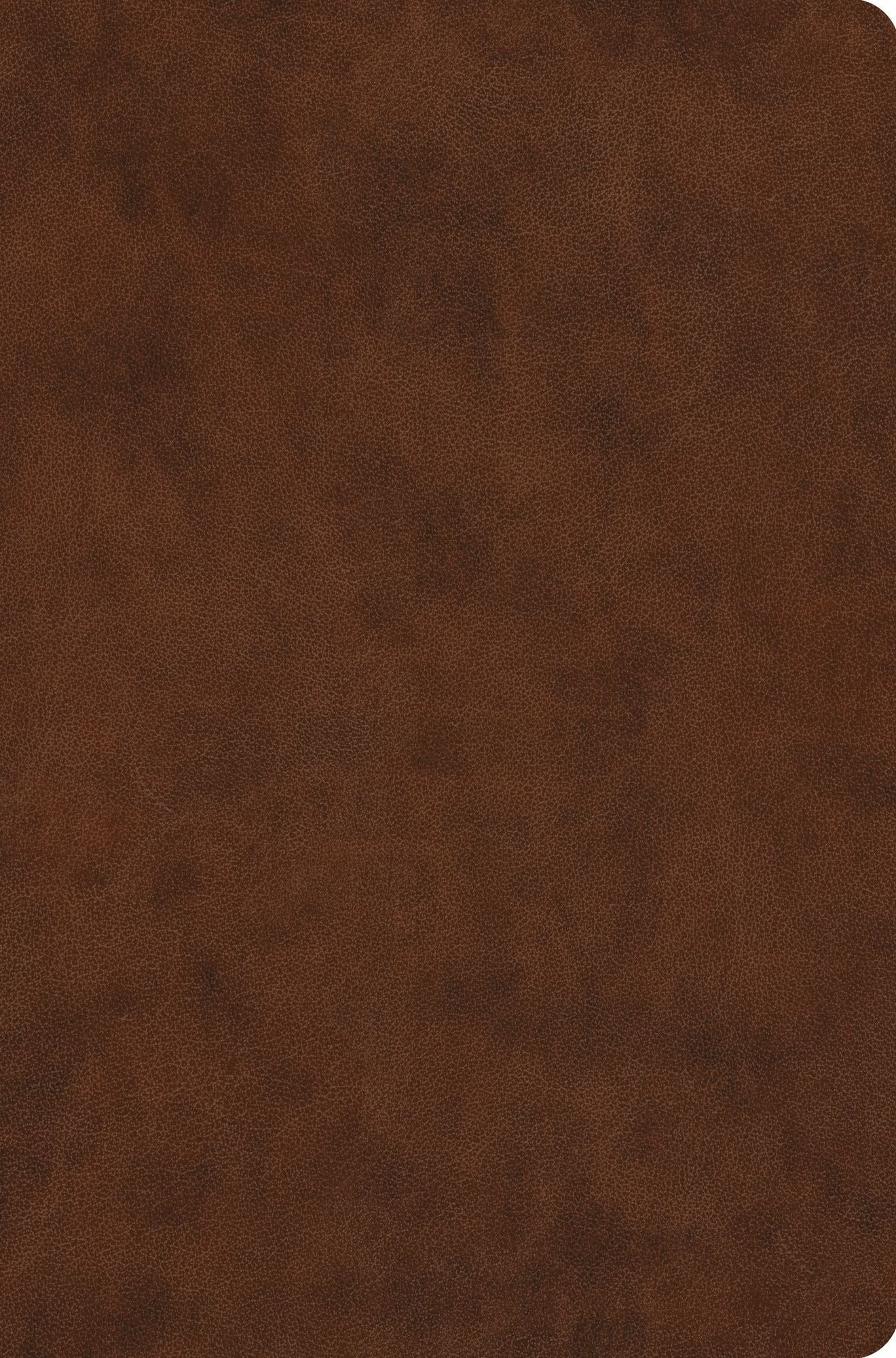 ESV Value Compact Bible
