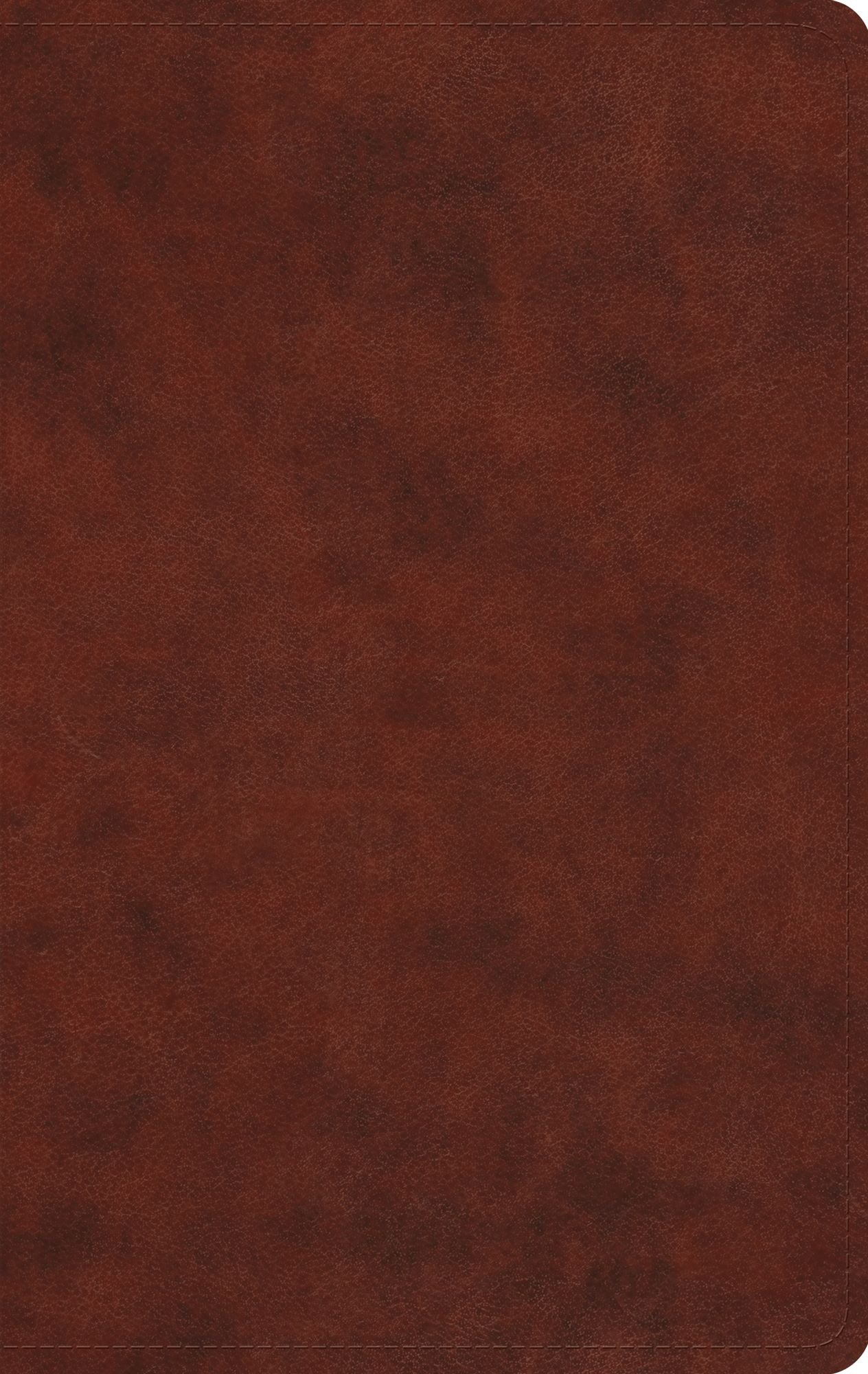 ESV Large Print Value Thinline Bible