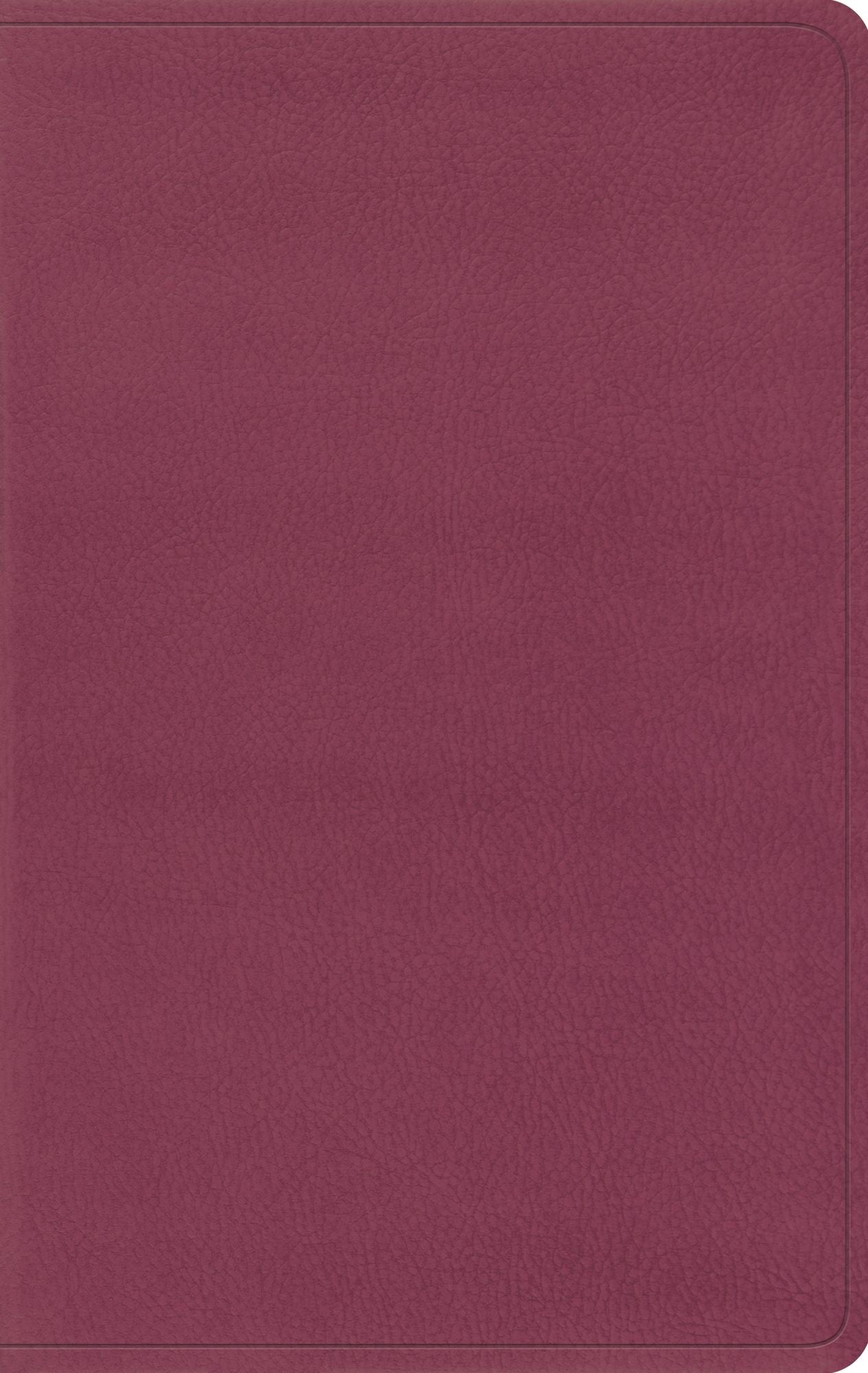 ESV Value Thinline Bible (TruTone, Pink)