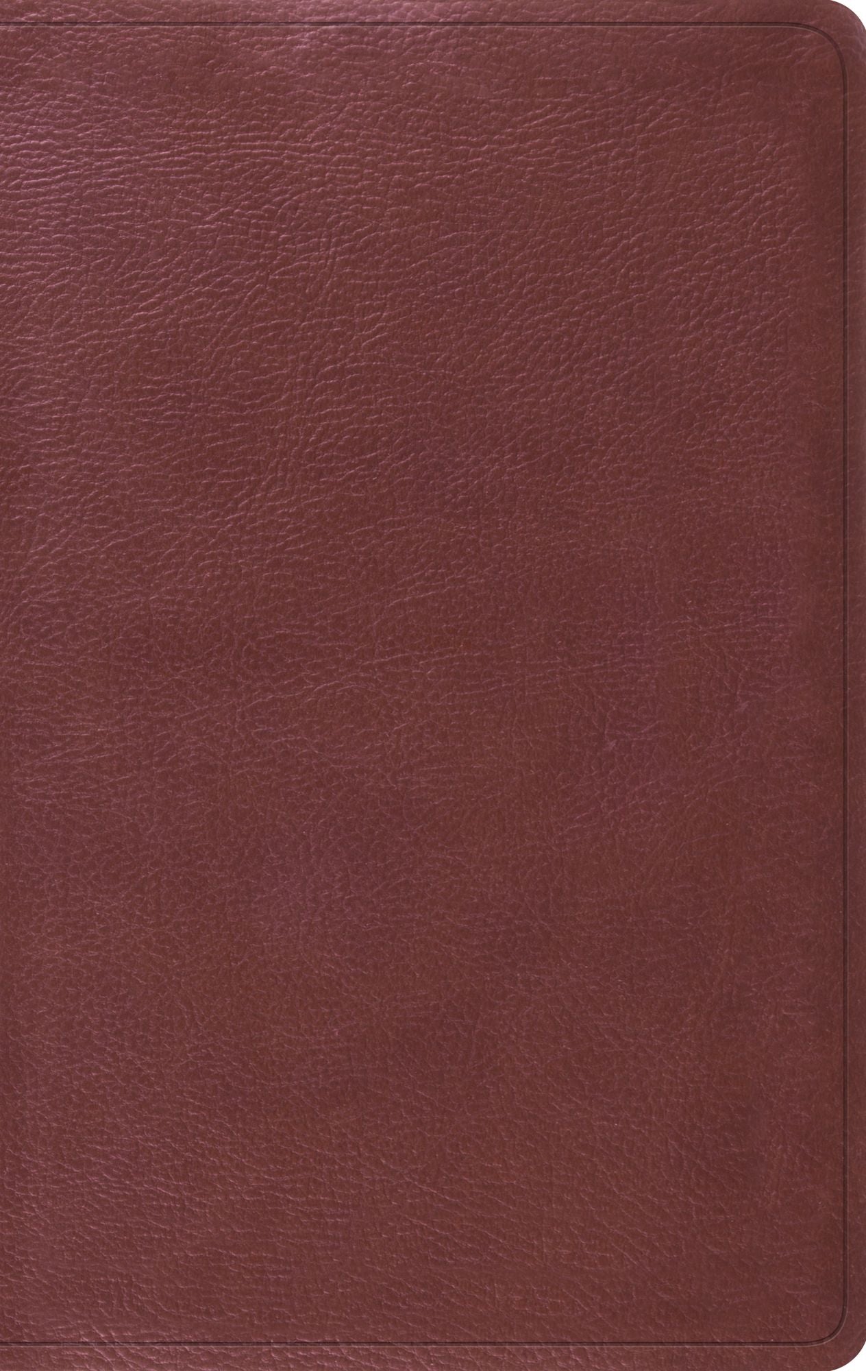 ESV Value Thinline Bible (TruTone, Burgundy)