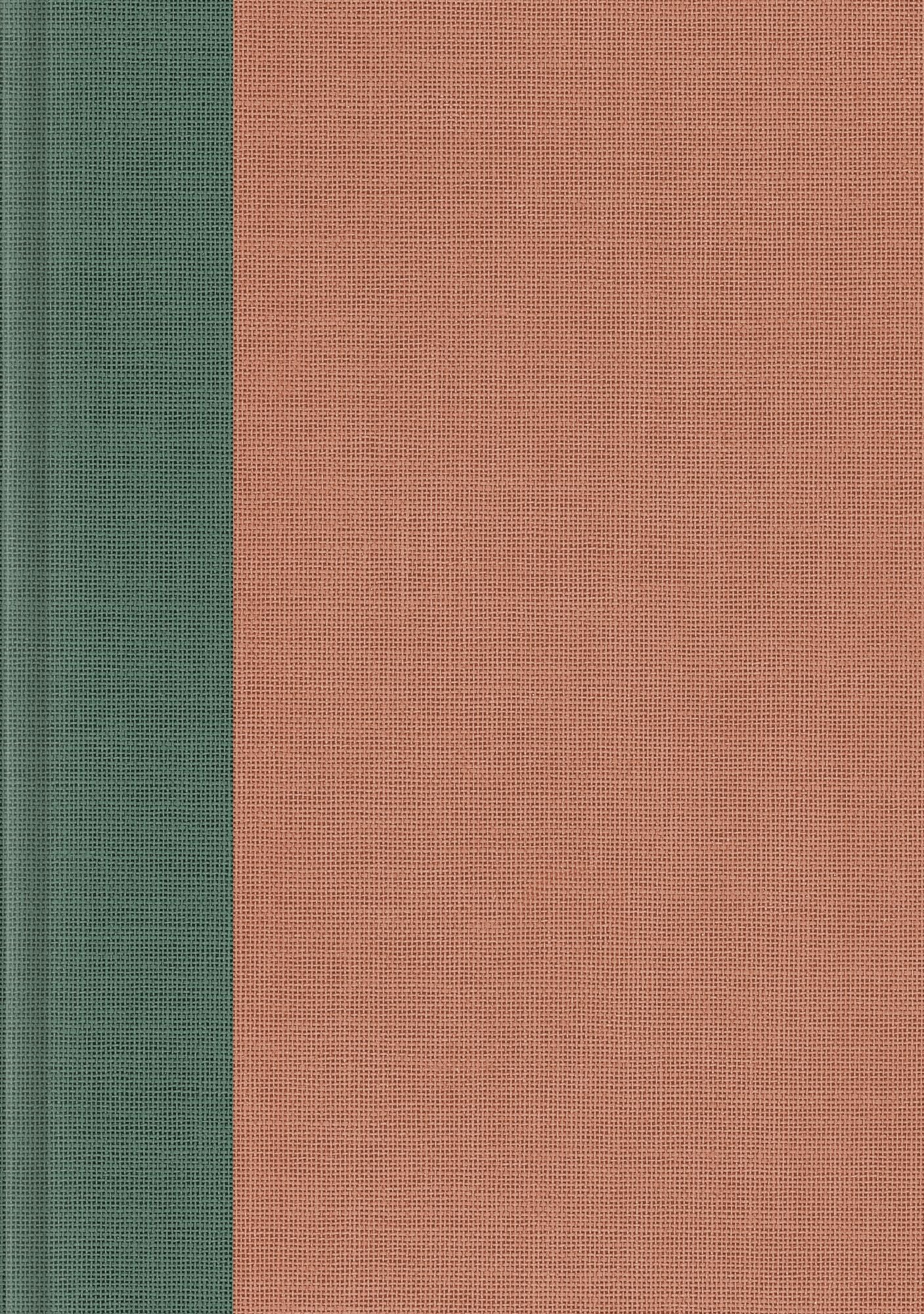 ESV Journaling Bible, Interleaved Edition (Cloth over Board, Turquoise/Coral)