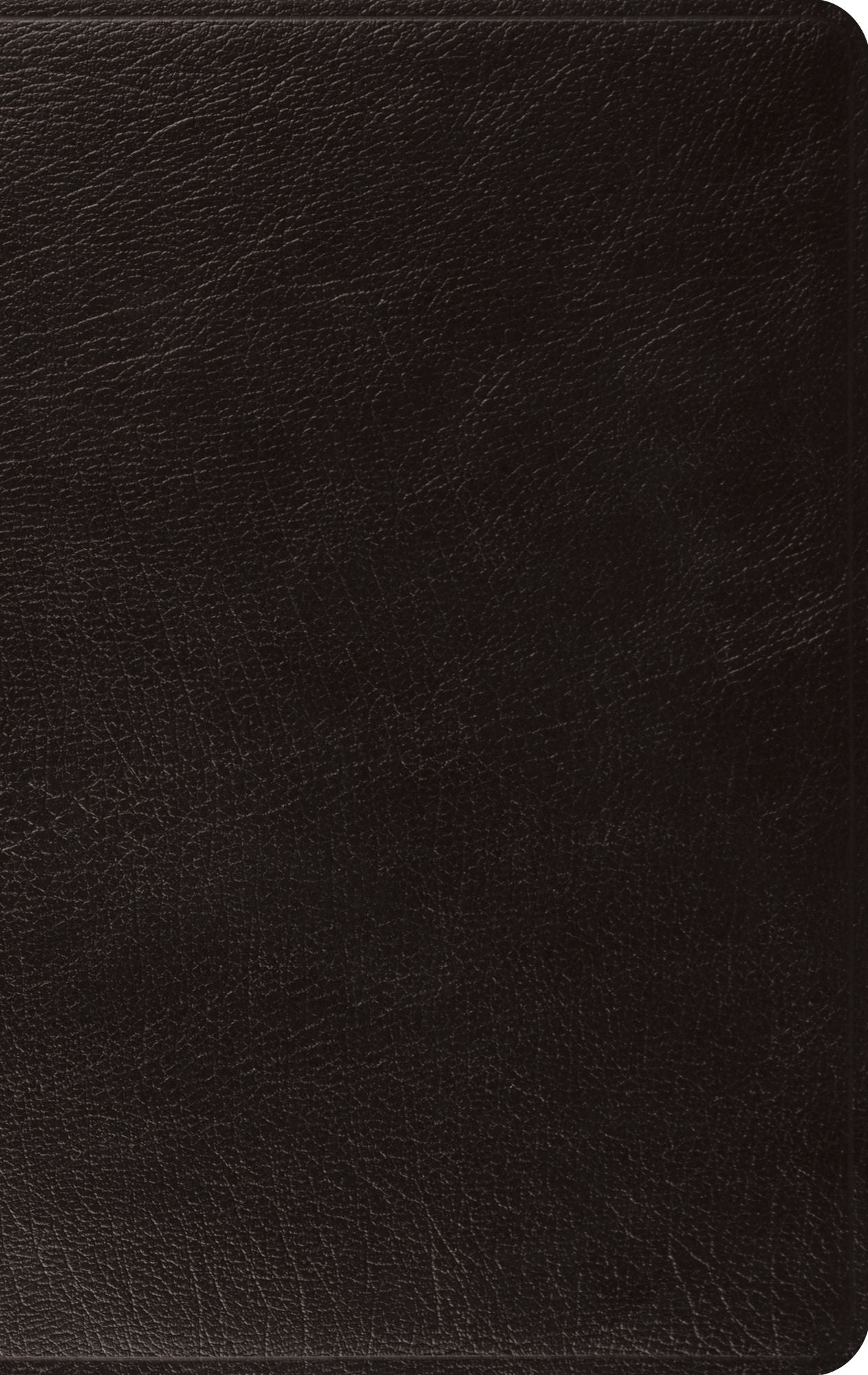 ESV Large Print Thinline Bible