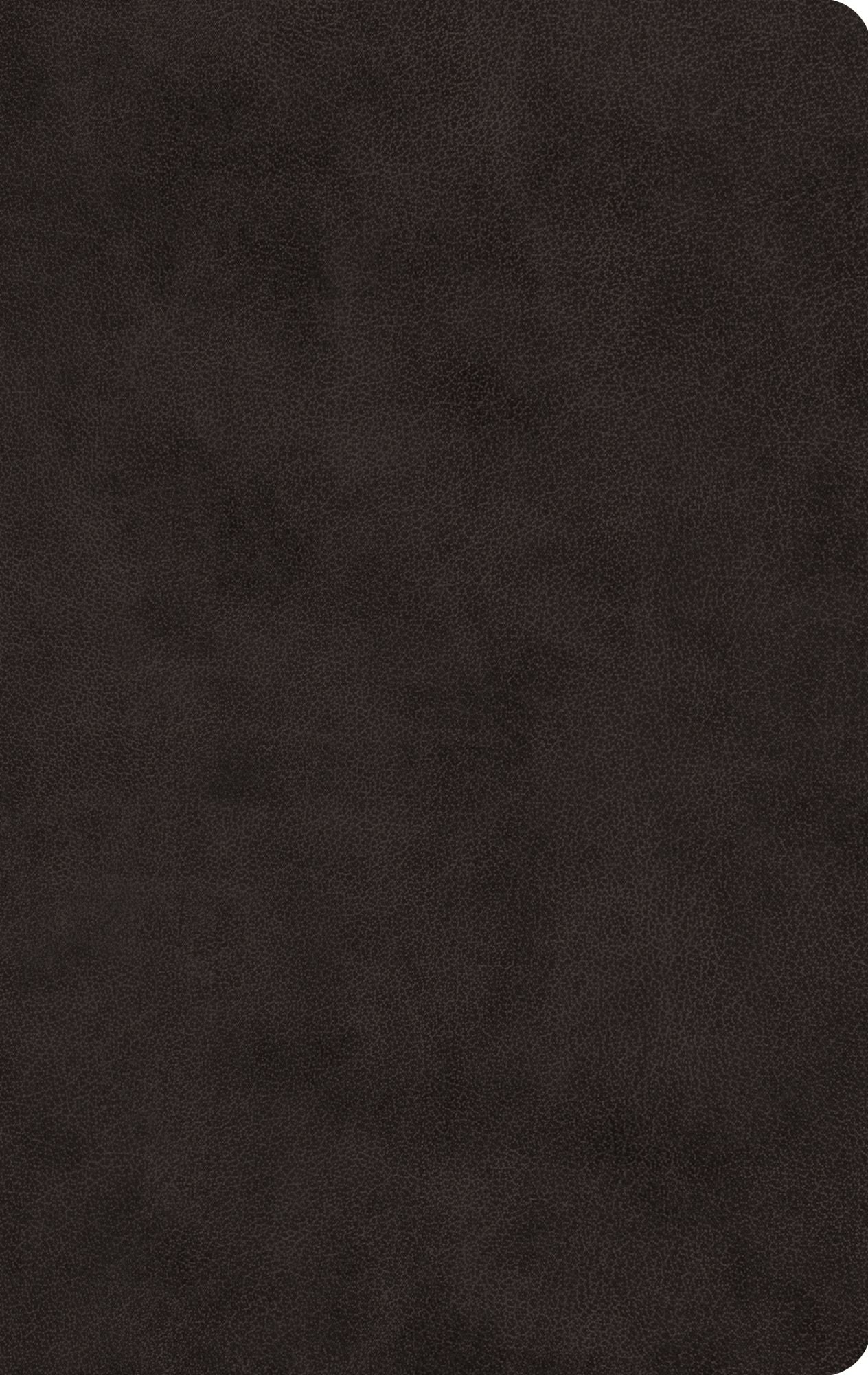 ESV Large Print Value Thinline Bible