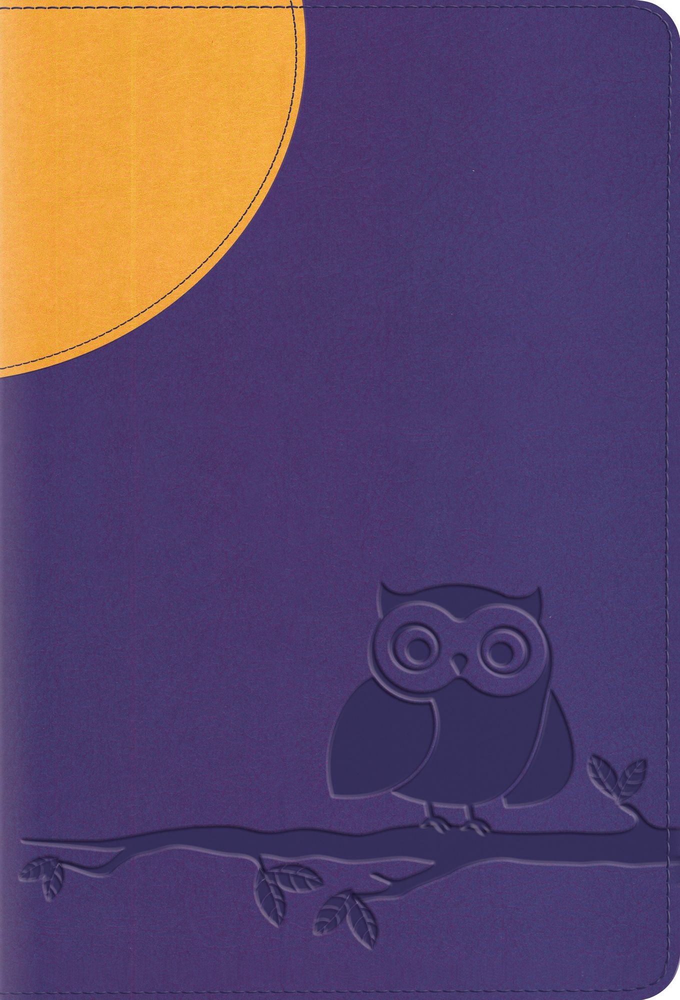 ESV Large Print Compact Bible (Trutone, Moonlight Owl)