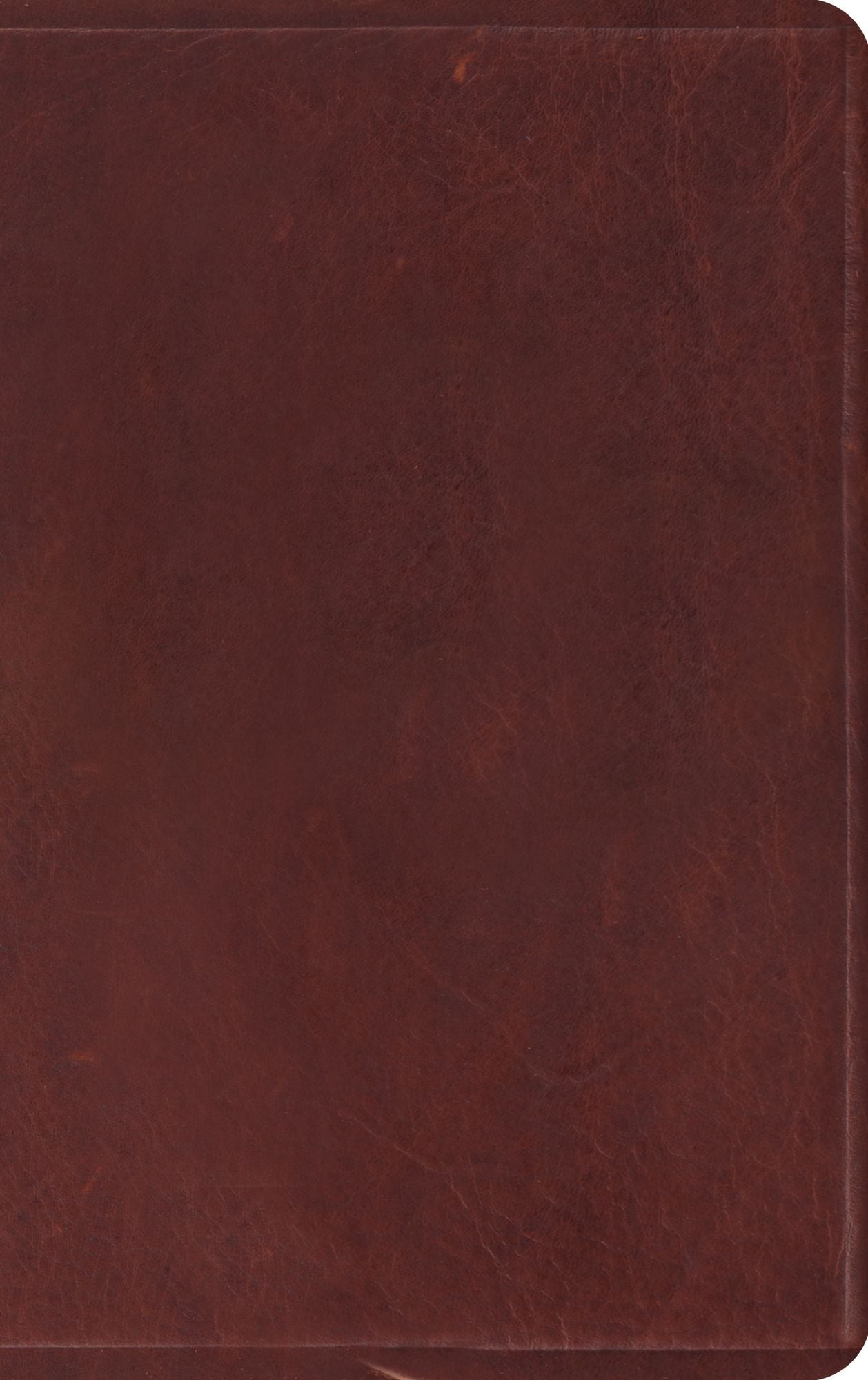 ESV Thinline Bible (Brown)