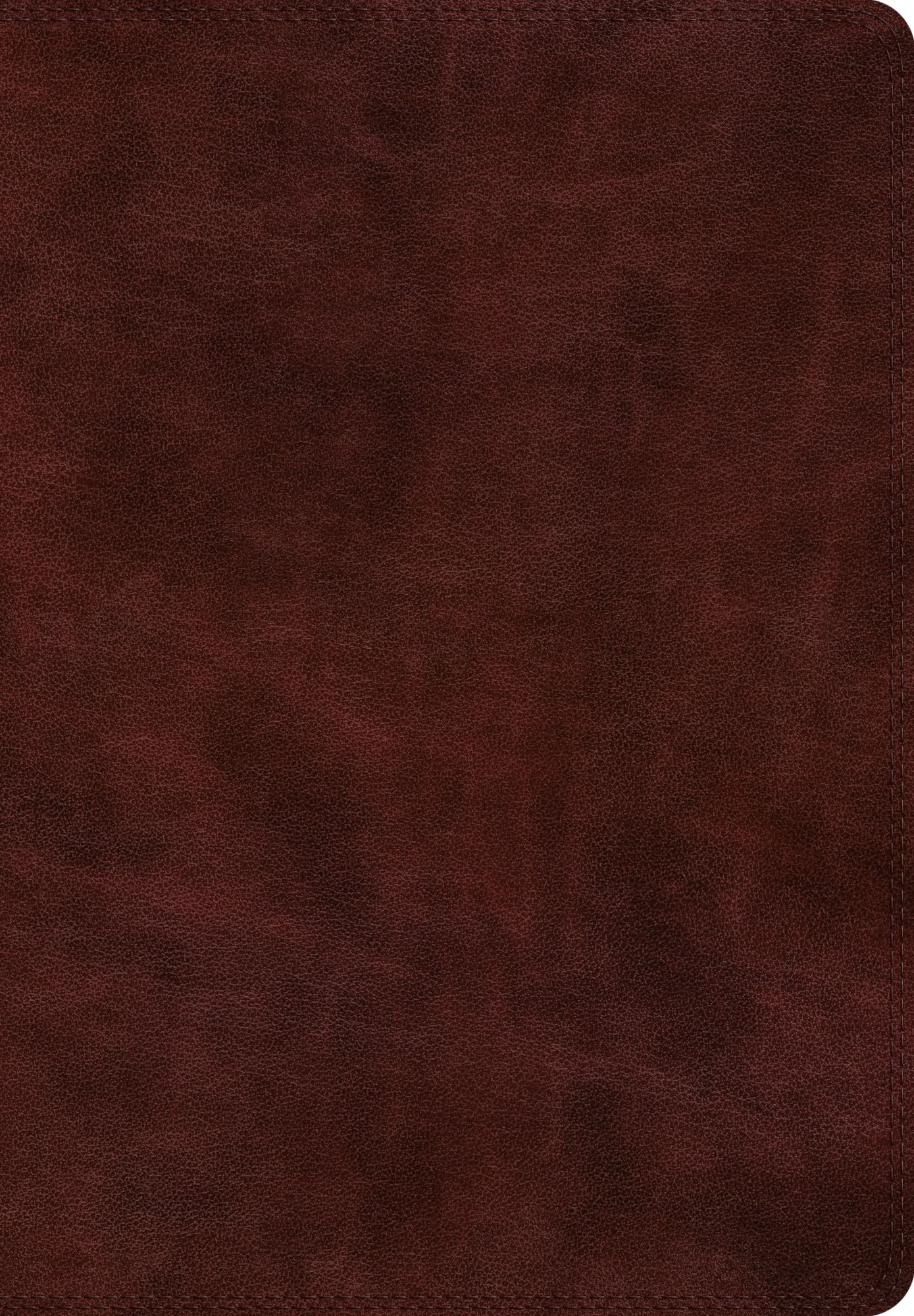 ESV Super Giant Print Bible