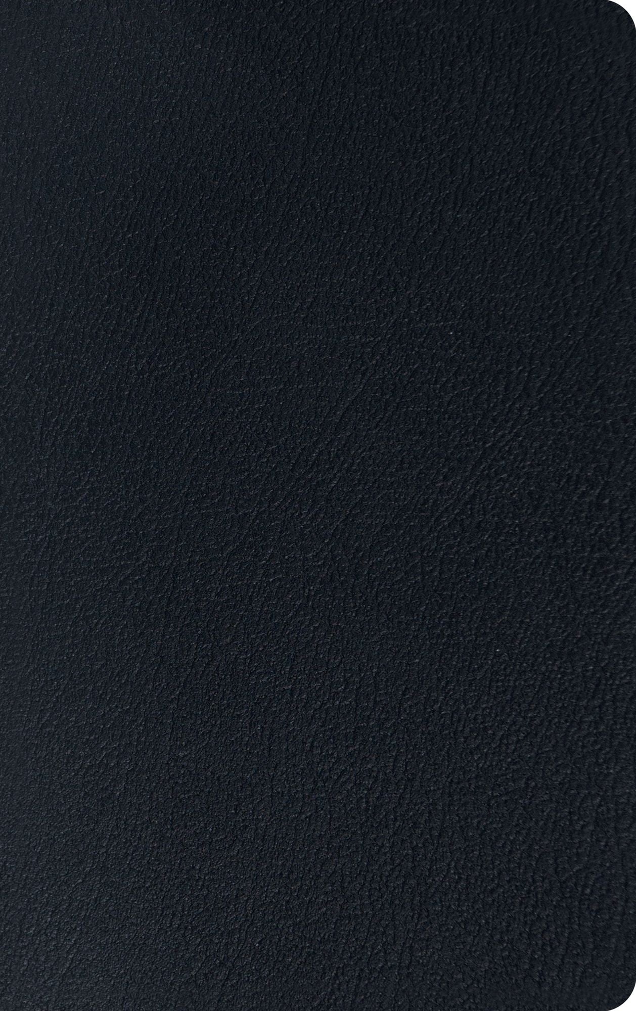 ESV Thinline Reference Bible (Black)
