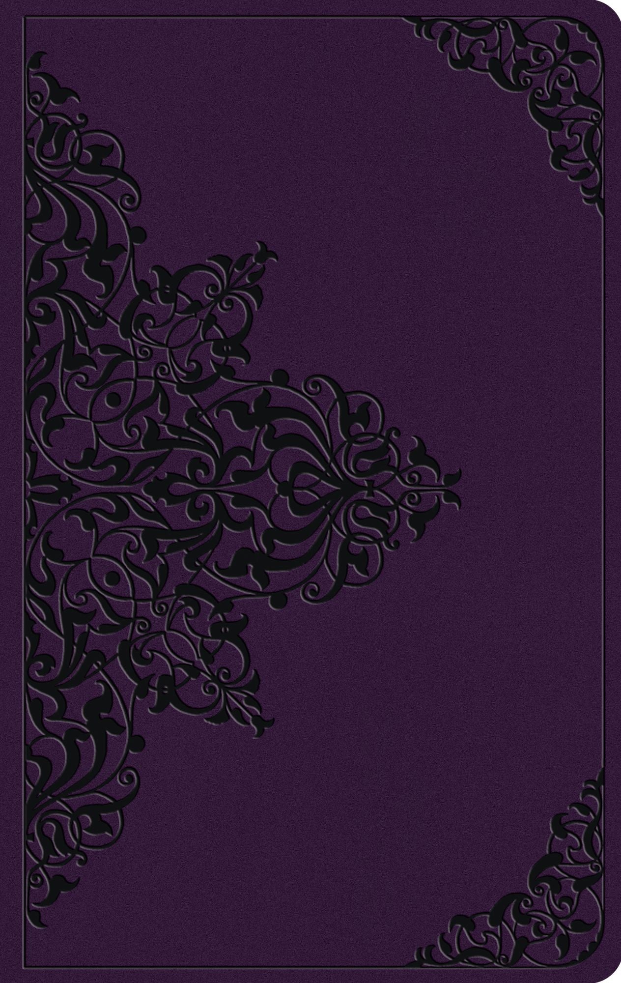 ESV Large Print Value Thinline Bible