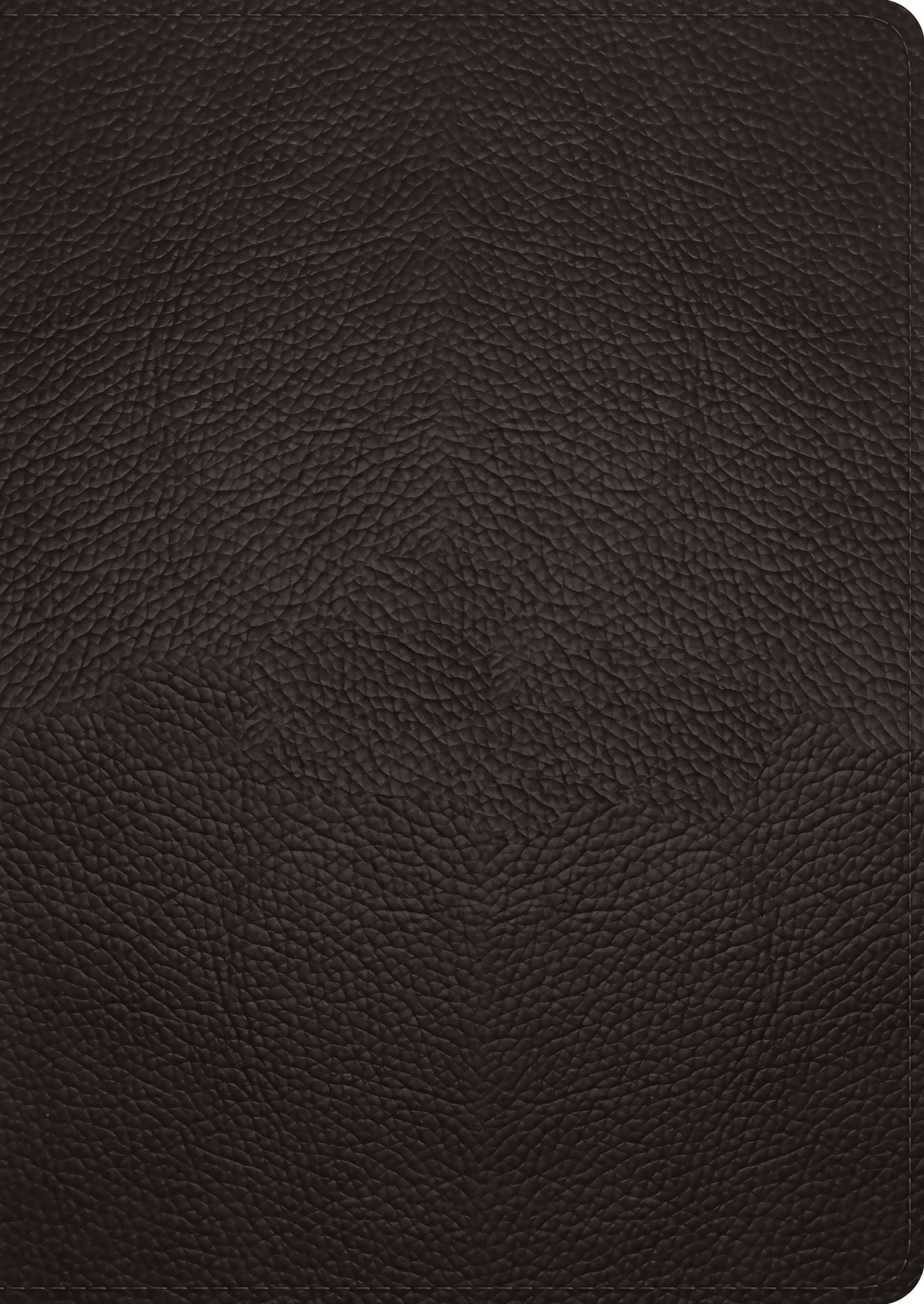 ESV Study Bible, Large Print