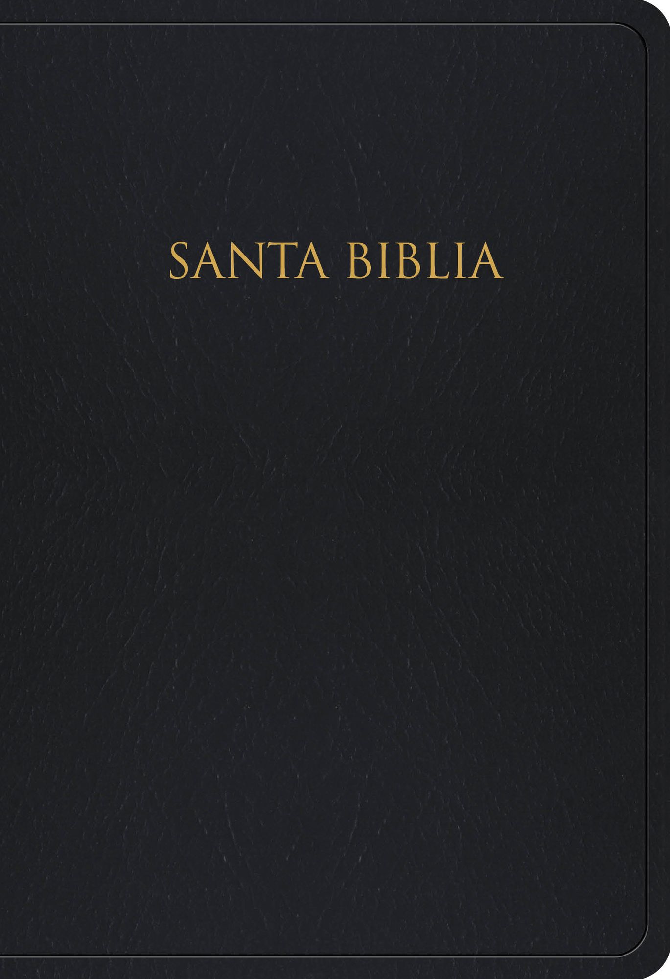 RVR 1960 Biblia para Regalos y Premios, negro imitacion piel