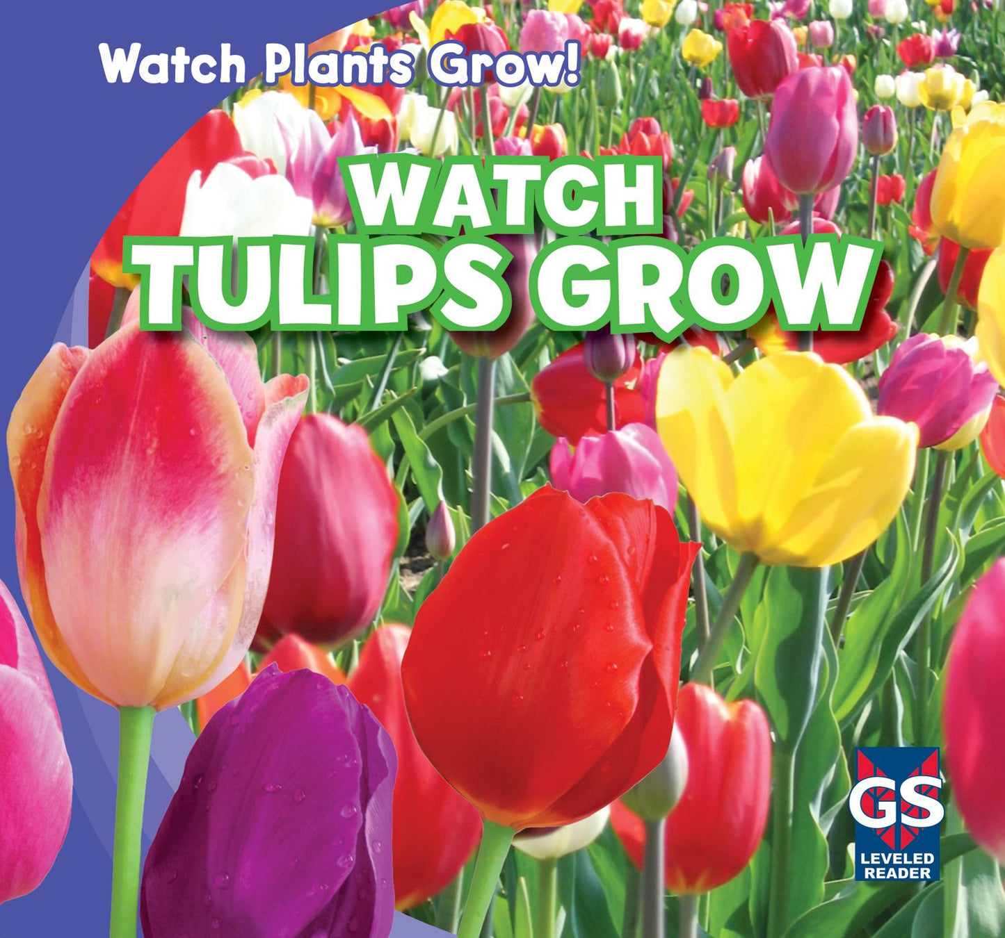 Watch Tulips Grow