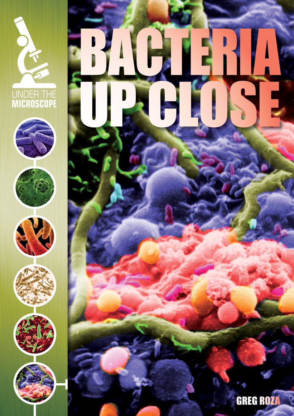 Bacteria Up Close