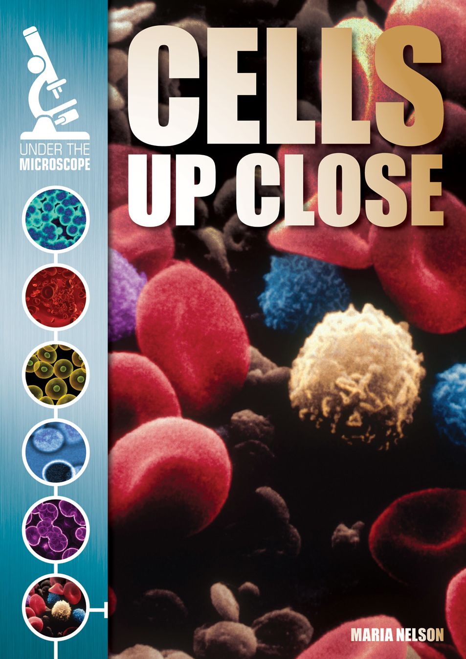 Cells Up Close