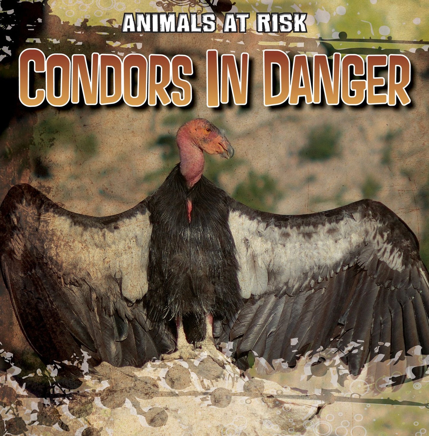 Condors in Danger