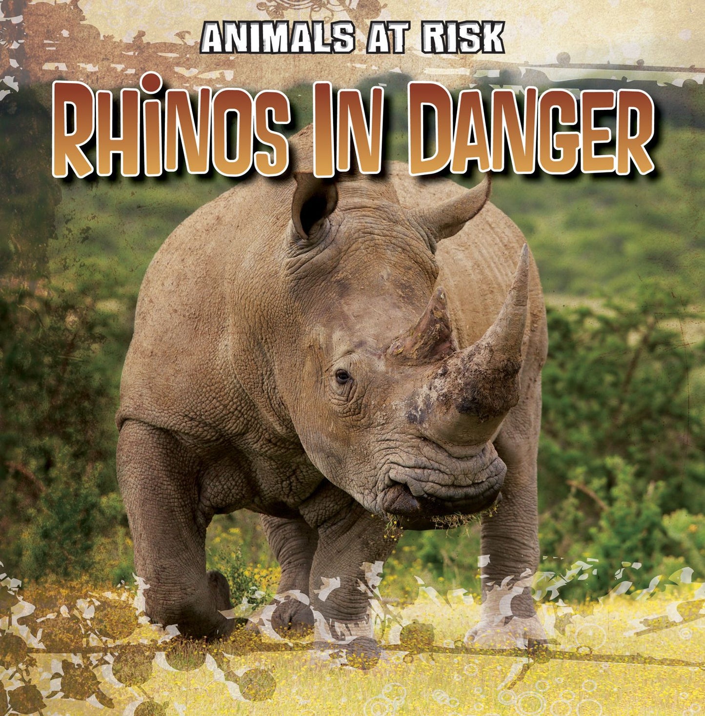 Rhinos in Danger
