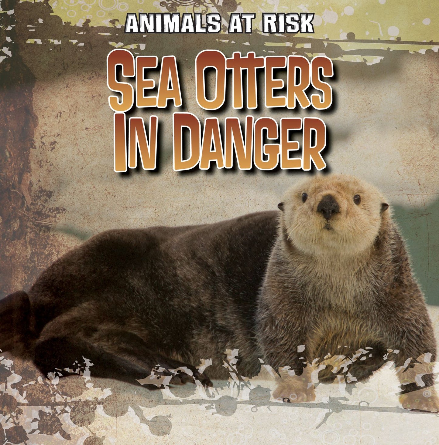 Sea Otters in Danger