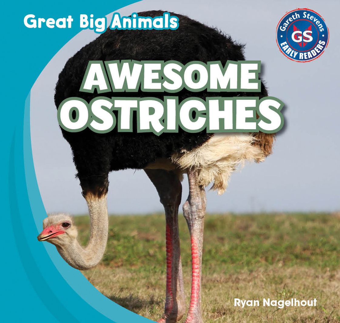 Awesome Ostriches