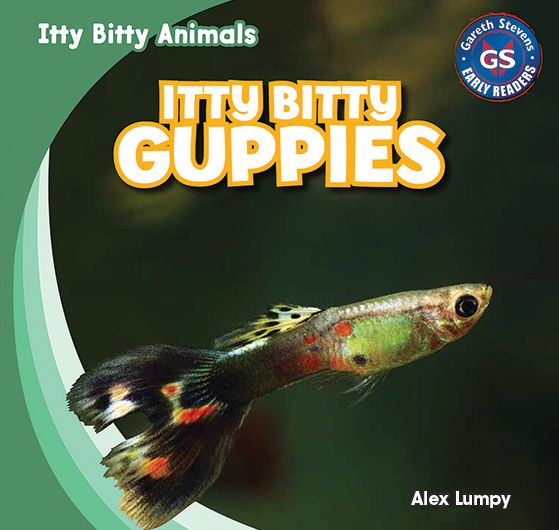 Itty Bitty Guppies
