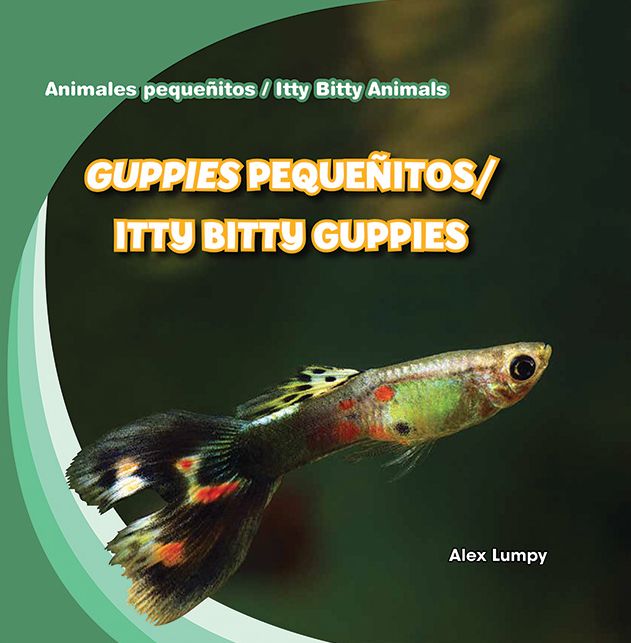 Guppies Pequenitos/Itty Bitty Guppies