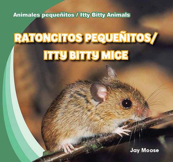 Ratoncitos Pequenitos/Itty Bitty Mice