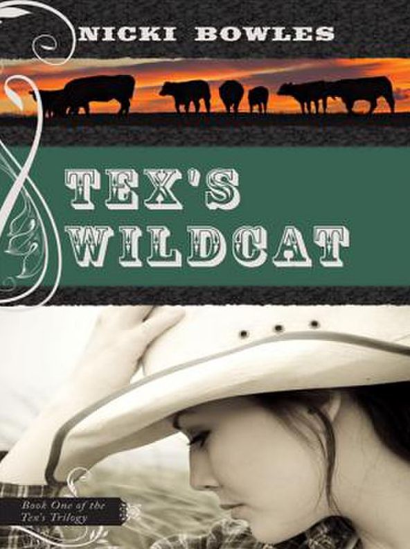 Tex's Wildcat: Book One of the Tex's Trilogy