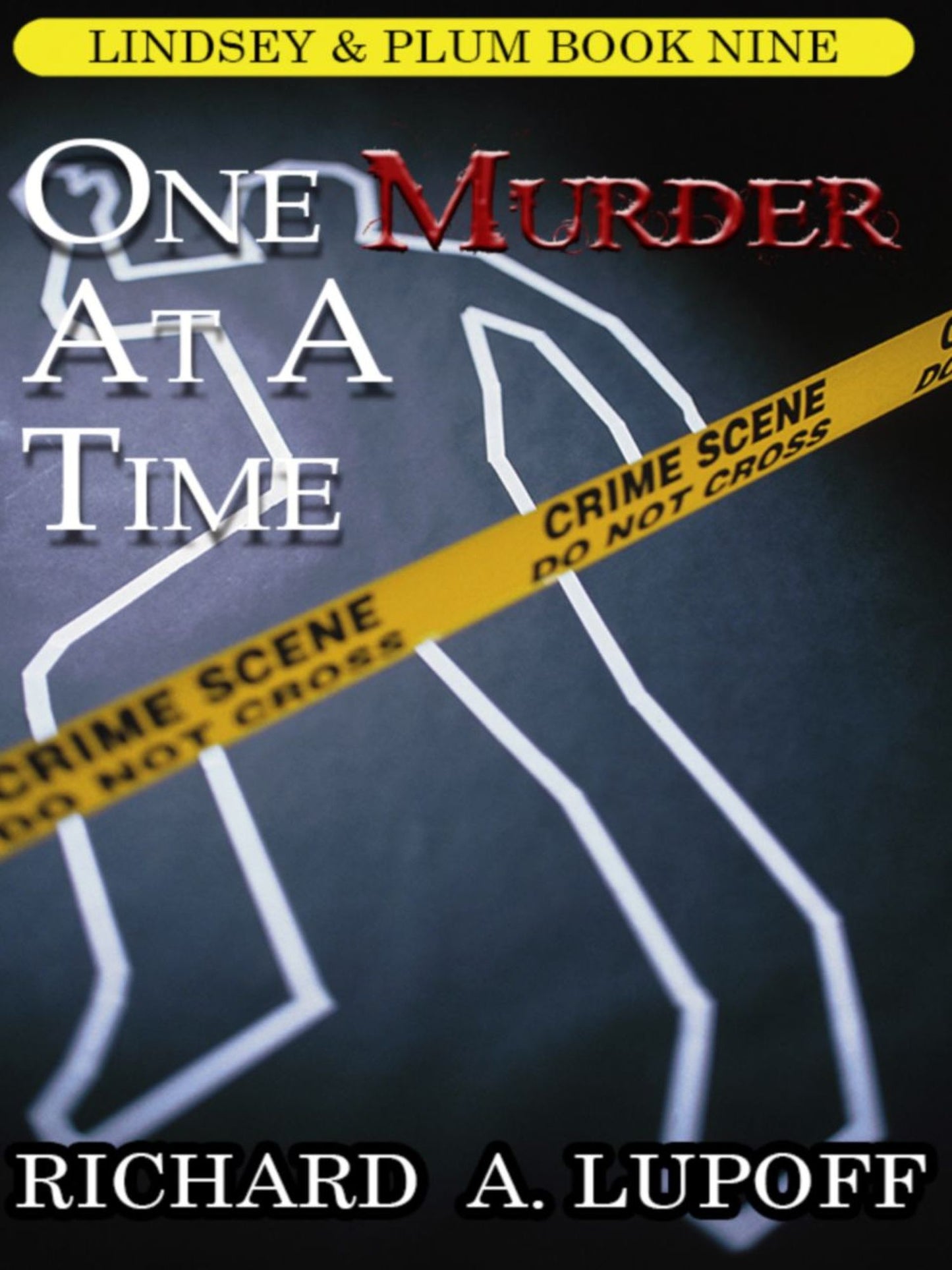 One Murder at a Time: A Casebook: The Lindsey & Plum Detective Series, Book Nine