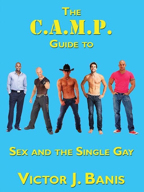 The C.A.M.P. Guide to Sex and the Single Gay