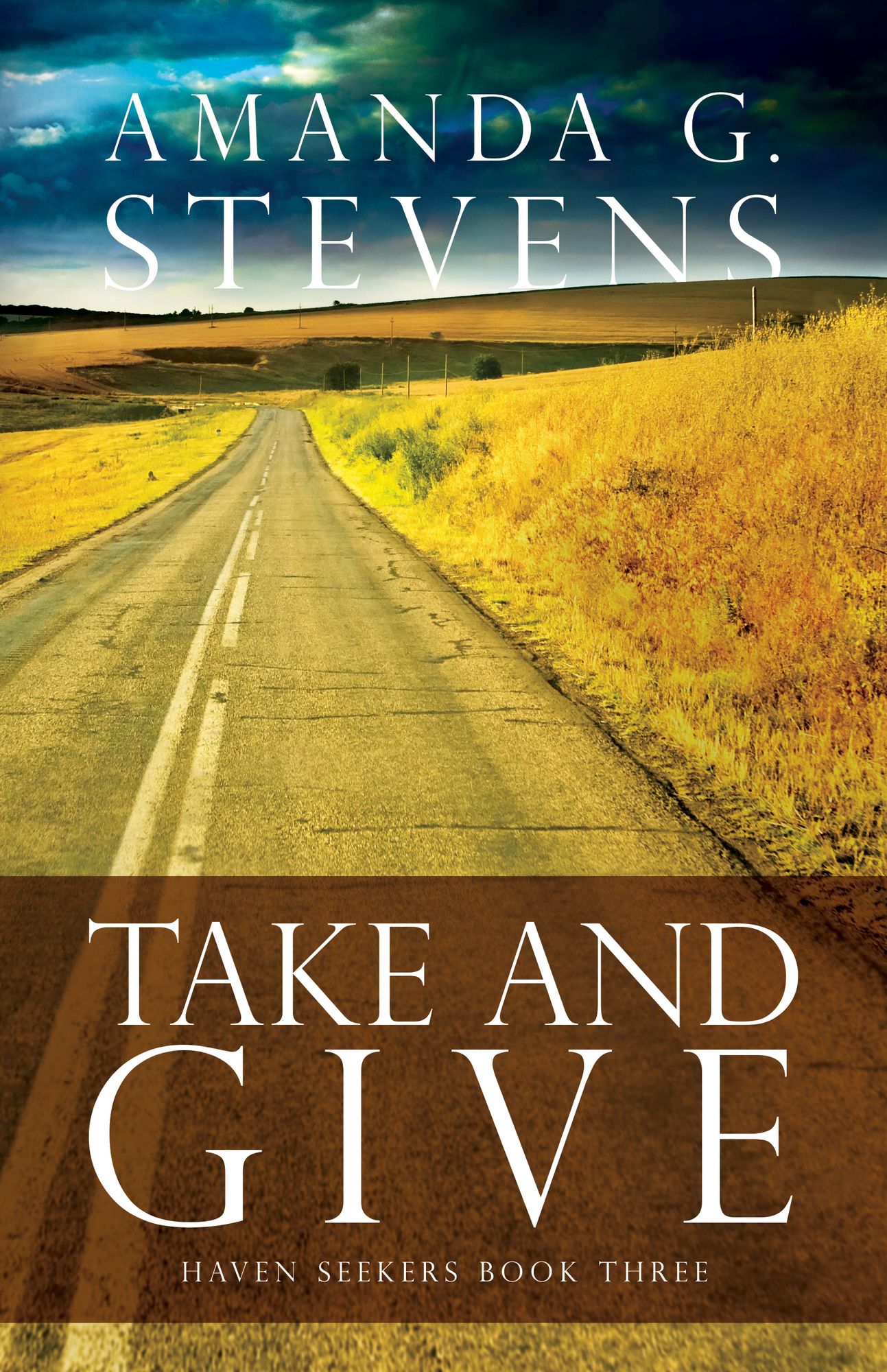 Take and Give: A Novel