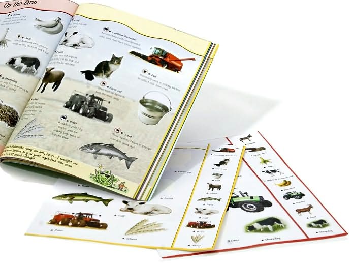 Giant Sticker Activity Animals