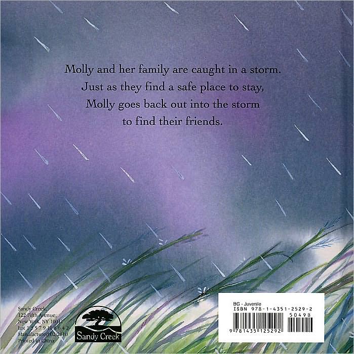 Molly and the Storm