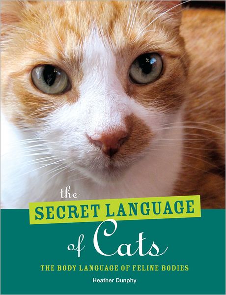 Secret Language of Cats