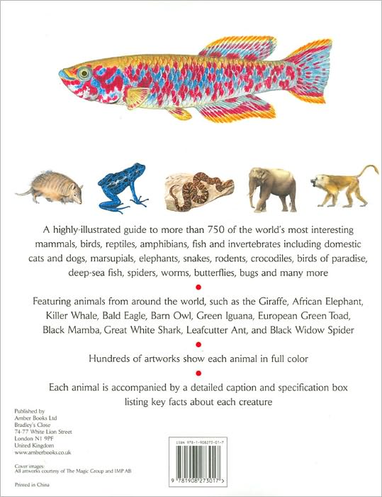 Animals: Visual Encyclopedia