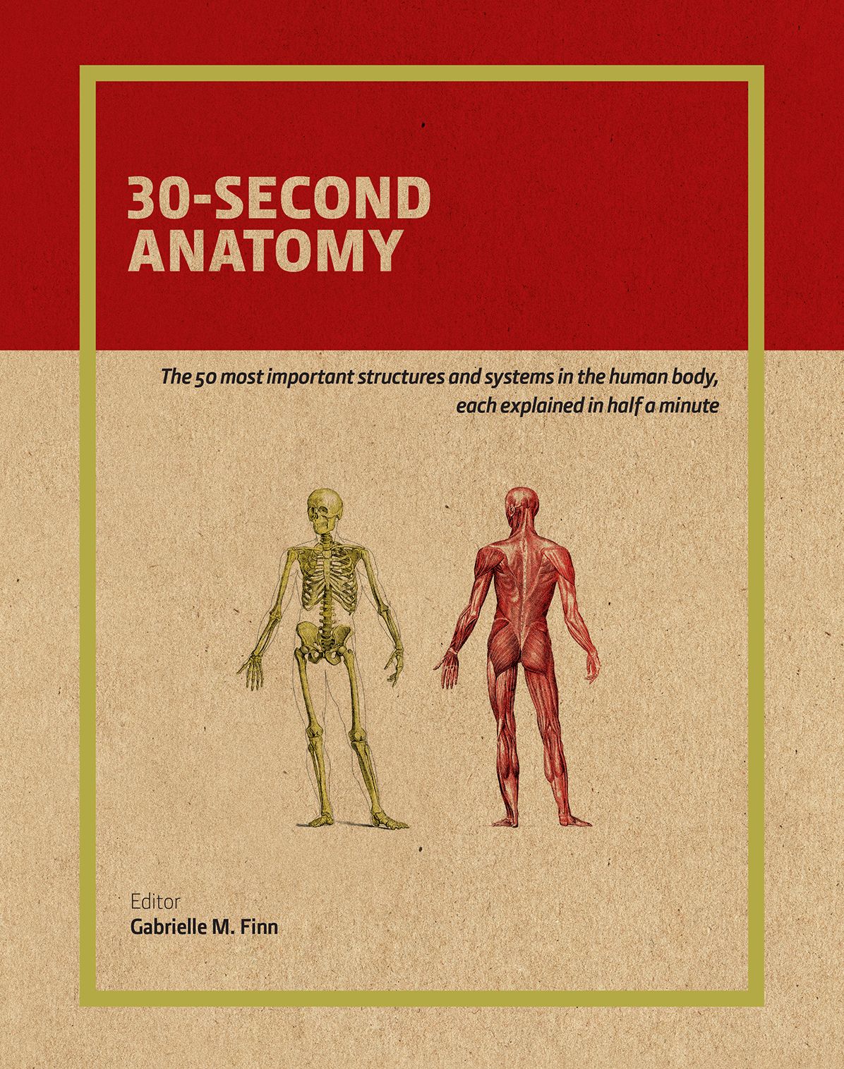 30-Second Anatomy