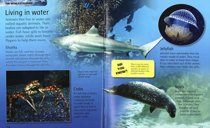 Ocean Life Encyclopedia