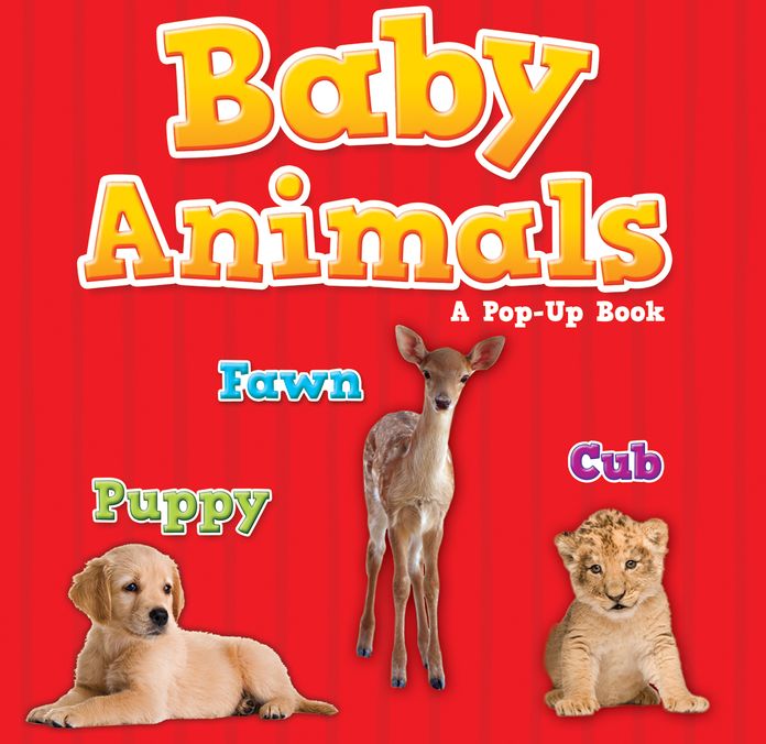 Baby Animals