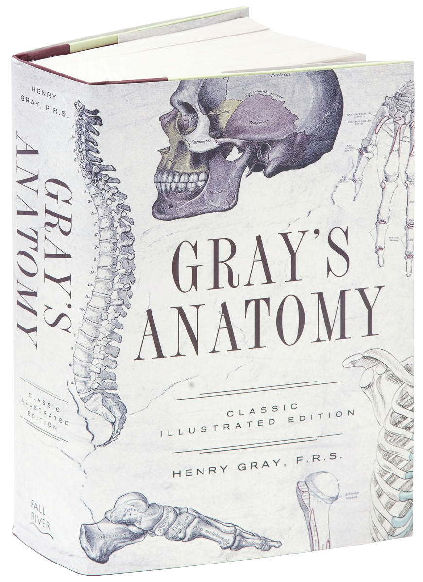 Gray's Anatomy: Classic Illustrated Edition