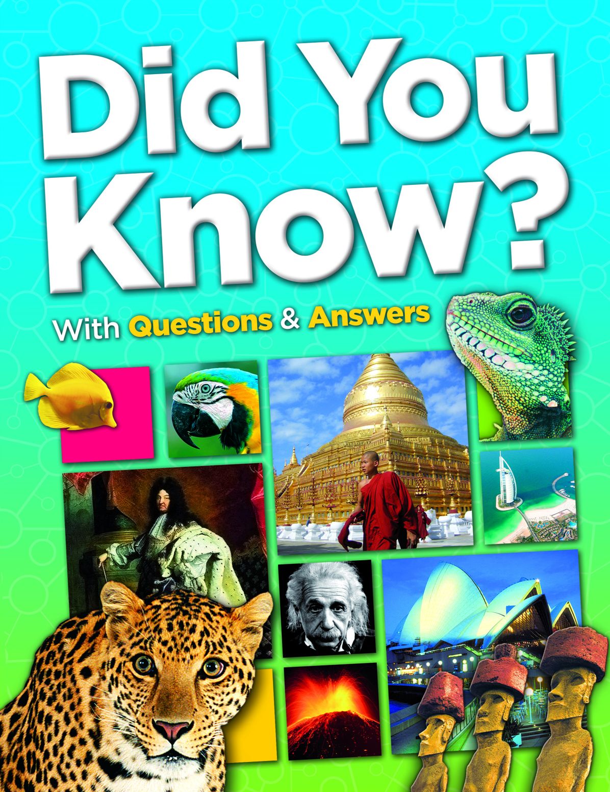 Did You Know?