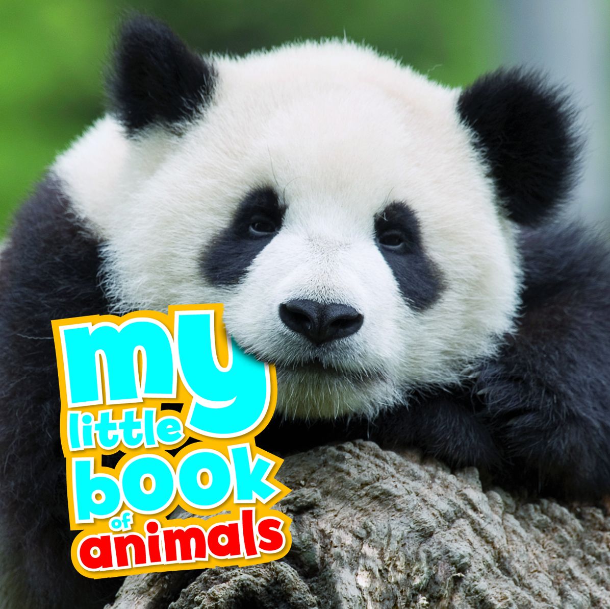 My Little Book of Animals